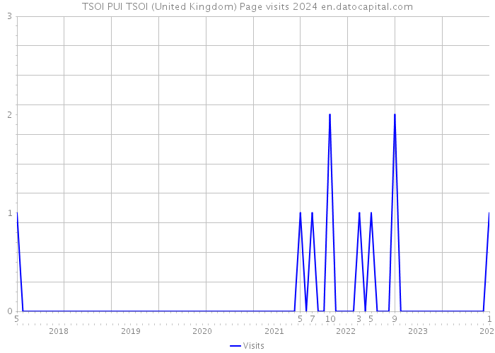 TSOI PUI TSOI (United Kingdom) Page visits 2024 