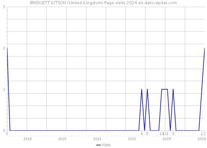 BRIDGETT KITSON (United Kingdom) Page visits 2024 