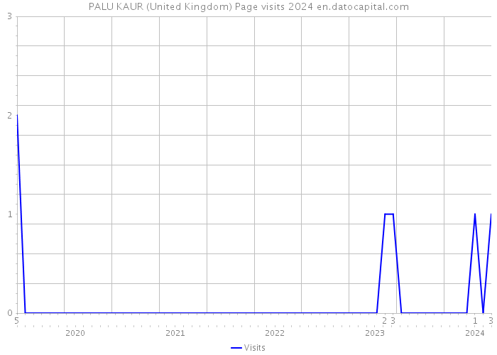 PALU KAUR (United Kingdom) Page visits 2024 