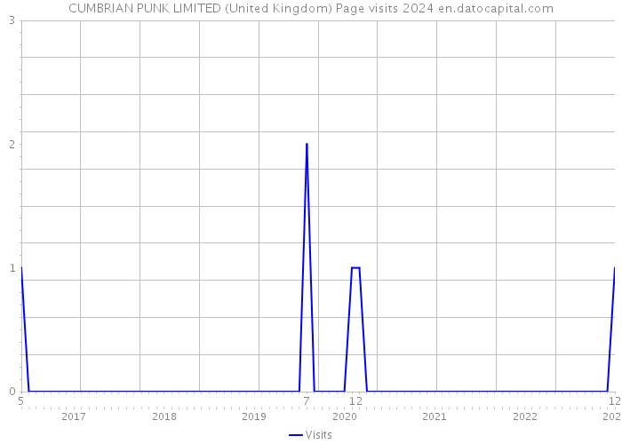 CUMBRIAN PUNK LIMITED (United Kingdom) Page visits 2024 