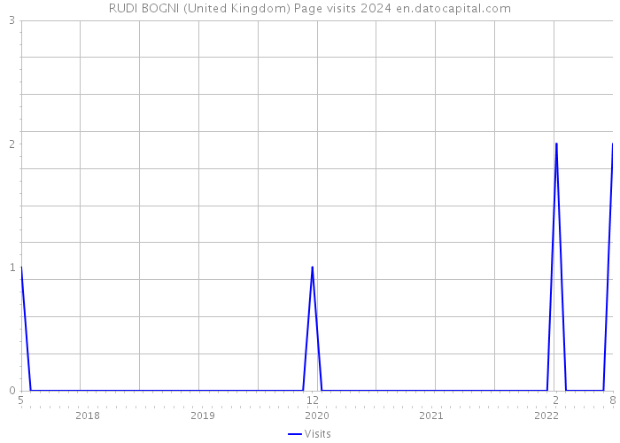 RUDI BOGNI (United Kingdom) Page visits 2024 