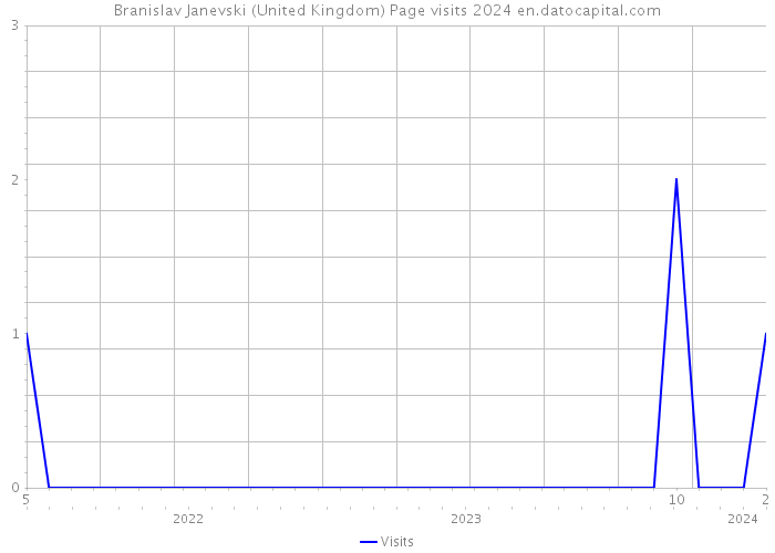 Branislav Janevski (United Kingdom) Page visits 2024 