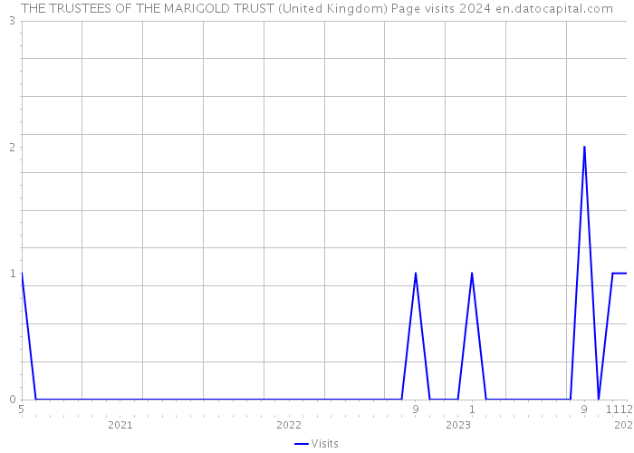 THE TRUSTEES OF THE MARIGOLD TRUST (United Kingdom) Page visits 2024 