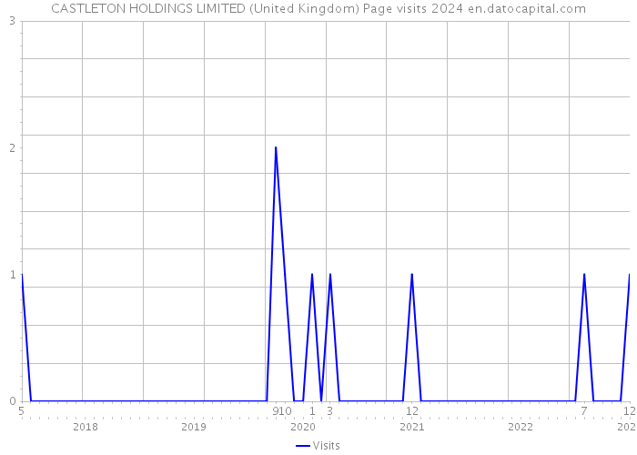 CASTLETON HOLDINGS LIMITED (United Kingdom) Page visits 2024 