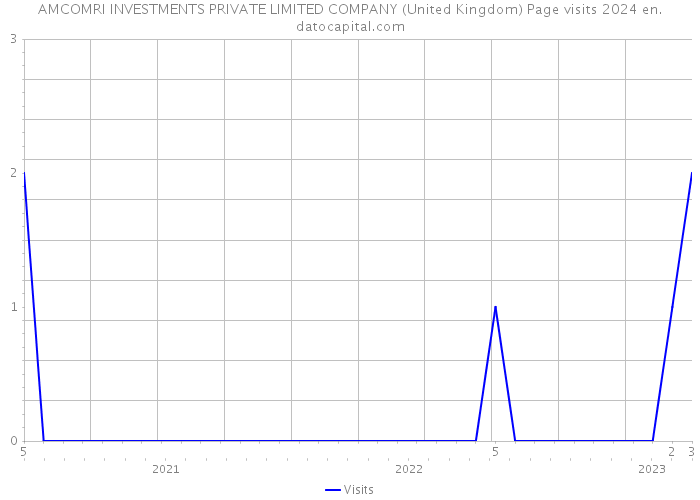 AMCOMRI INVESTMENTS PRIVATE LIMITED COMPANY (United Kingdom) Page visits 2024 