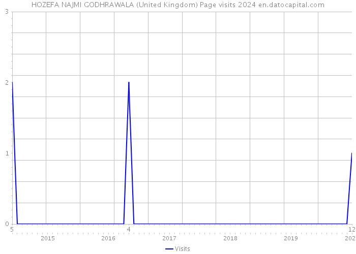 HOZEFA NAJMI GODHRAWALA (United Kingdom) Page visits 2024 