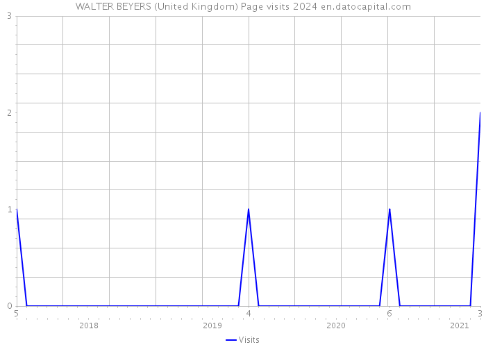 WALTER BEYERS (United Kingdom) Page visits 2024 