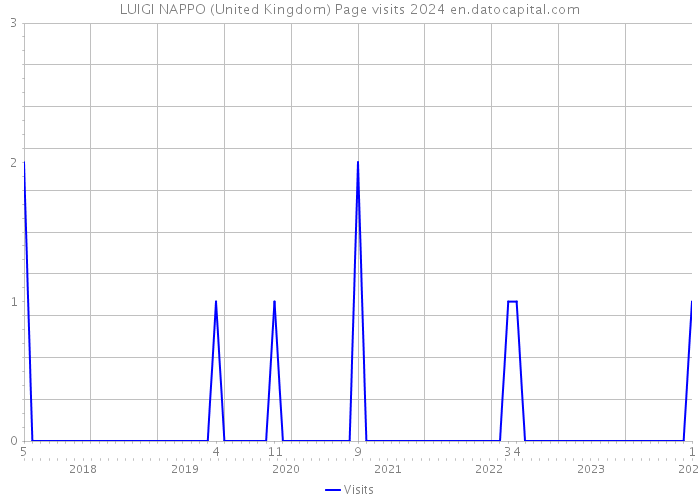 LUIGI NAPPO (United Kingdom) Page visits 2024 