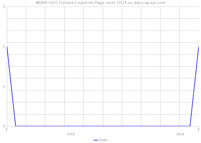 BESIM XOXI (United Kingdom) Page visits 2024 