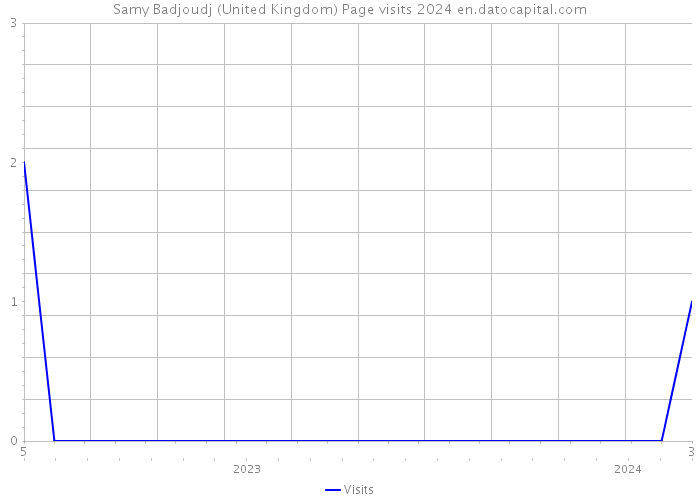 Samy Badjoudj (United Kingdom) Page visits 2024 