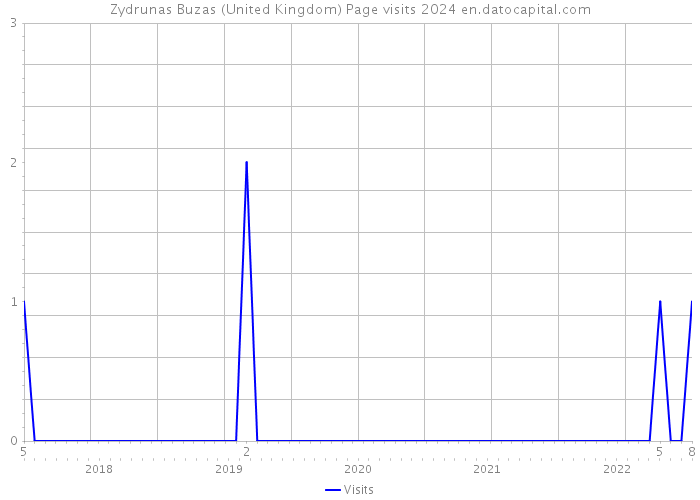 Zydrunas Buzas (United Kingdom) Page visits 2024 