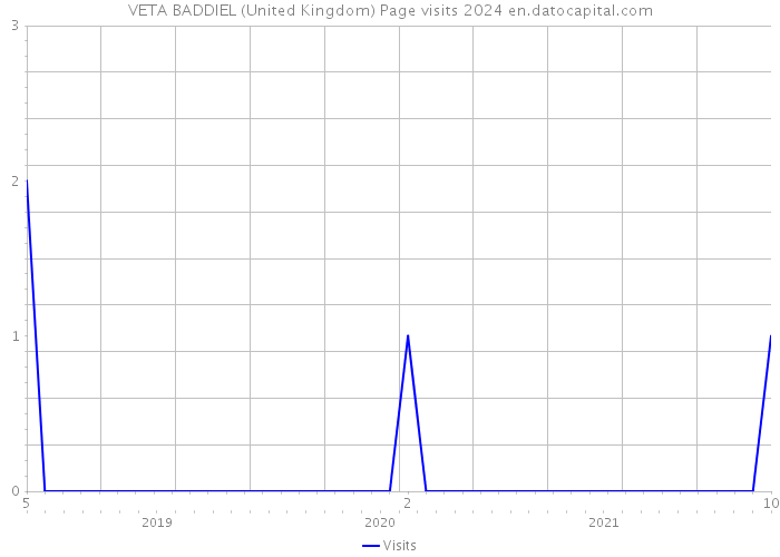 VETA BADDIEL (United Kingdom) Page visits 2024 