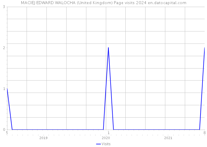 MACIEJ EDWARD WALOCHA (United Kingdom) Page visits 2024 