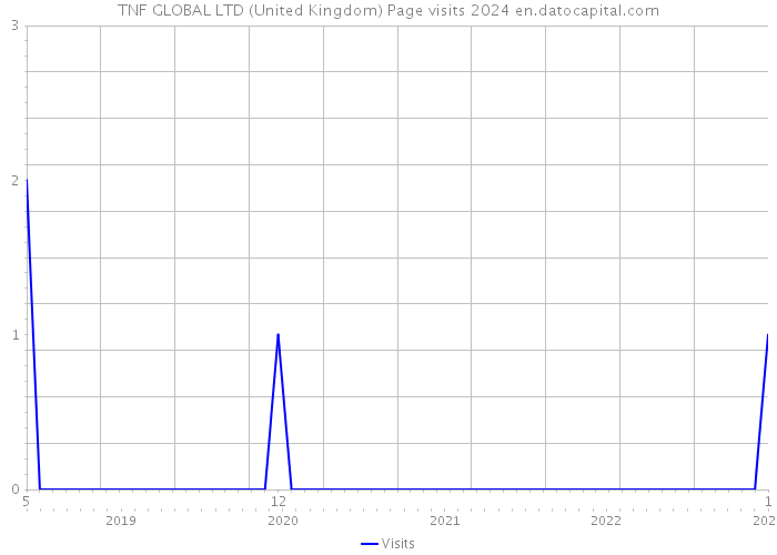 TNF GLOBAL LTD (United Kingdom) Page visits 2024 