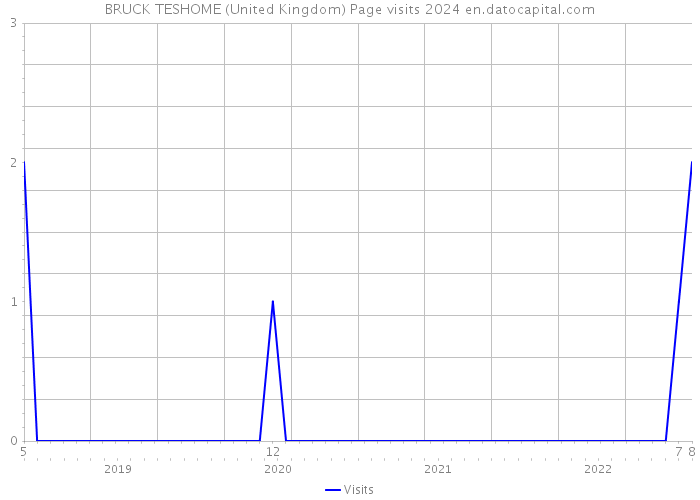 BRUCK TESHOME (United Kingdom) Page visits 2024 