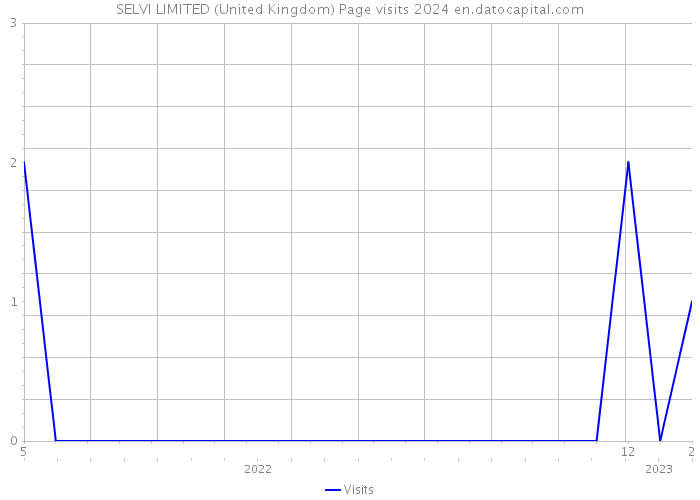 SELVI LIMITED (United Kingdom) Page visits 2024 