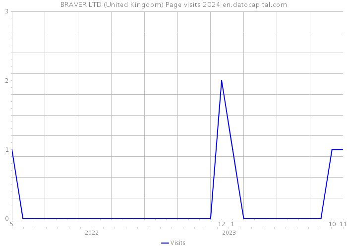 BRAVER LTD (United Kingdom) Page visits 2024 