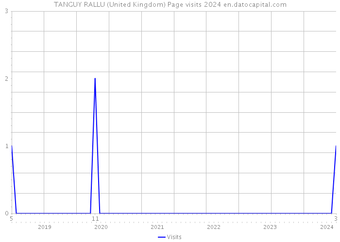 TANGUY RALLU (United Kingdom) Page visits 2024 
