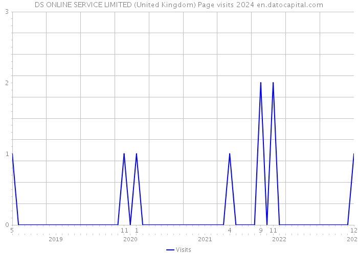 DS ONLINE SERVICE LIMITED (United Kingdom) Page visits 2024 