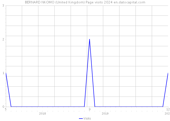 BERNARD NKOMO (United Kingdom) Page visits 2024 