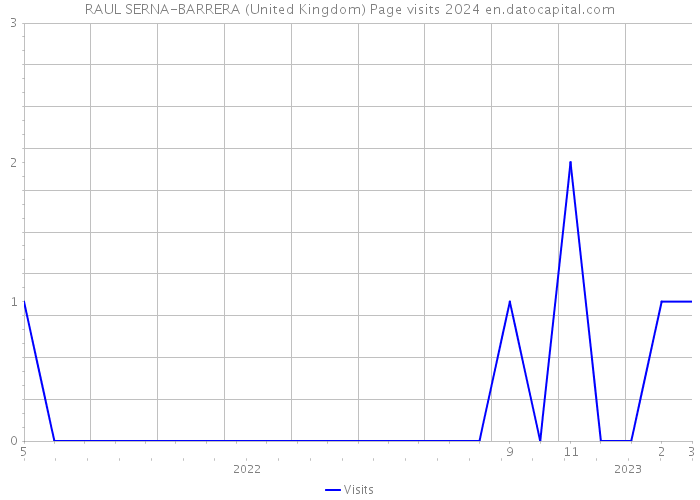 RAUL SERNA-BARRERA (United Kingdom) Page visits 2024 