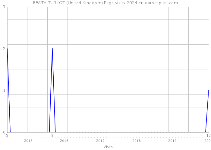 BEATA TURKOT (United Kingdom) Page visits 2024 