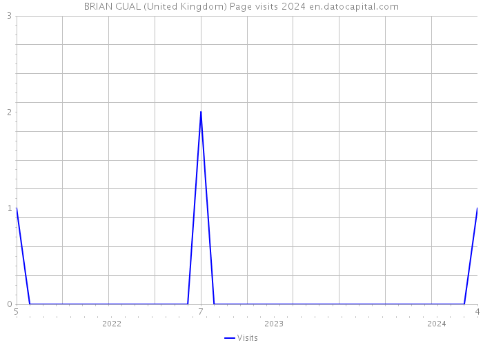 BRIAN GUAL (United Kingdom) Page visits 2024 