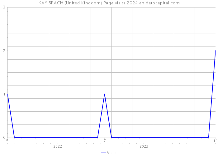 KAY BRACH (United Kingdom) Page visits 2024 