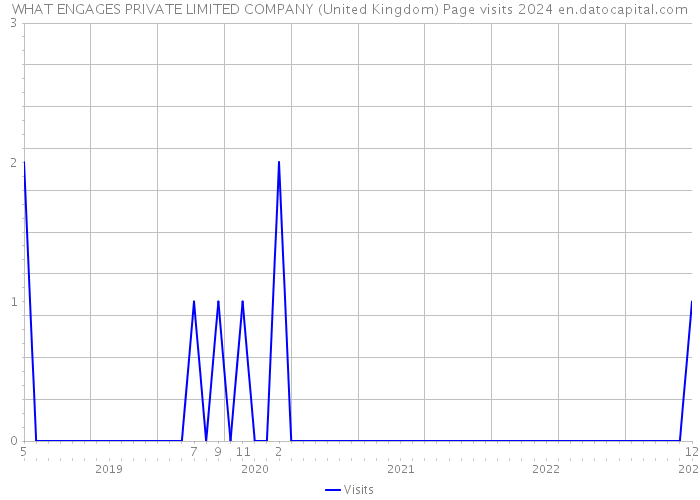 WHAT ENGAGES PRIVATE LIMITED COMPANY (United Kingdom) Page visits 2024 