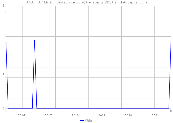 ANATTA NERGUI (United Kingdom) Page visits 2024 