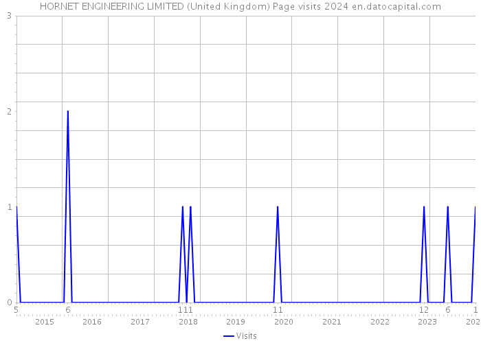 HORNET ENGINEERING LIMITED (United Kingdom) Page visits 2024 
