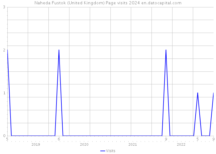 Naheda Fustok (United Kingdom) Page visits 2024 