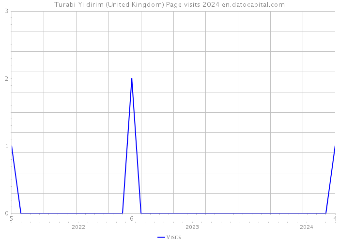 Turabi Yildirim (United Kingdom) Page visits 2024 