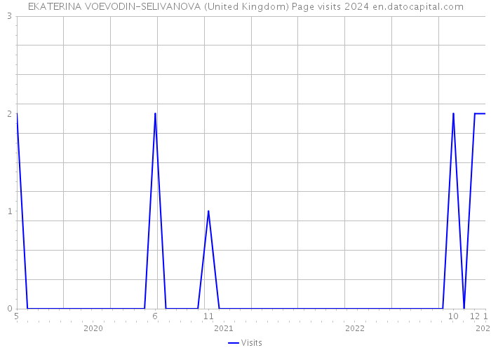 EKATERINA VOEVODIN-SELIVANOVA (United Kingdom) Page visits 2024 