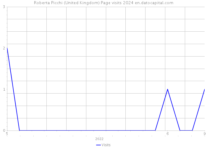 Roberta Picchi (United Kingdom) Page visits 2024 