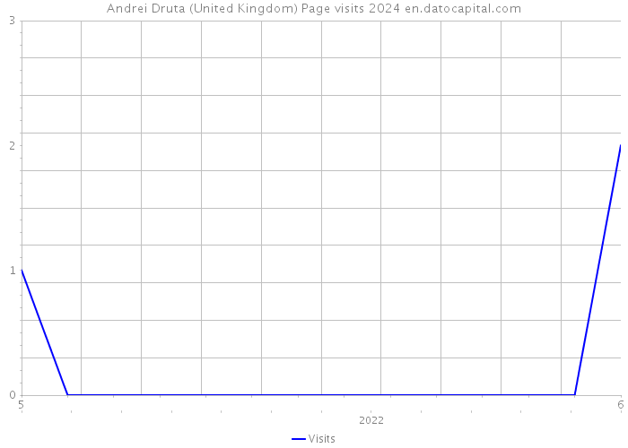 Andrei Druta (United Kingdom) Page visits 2024 