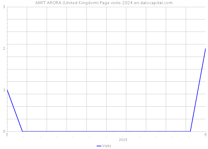 AMIT ARORA (United Kingdom) Page visits 2024 