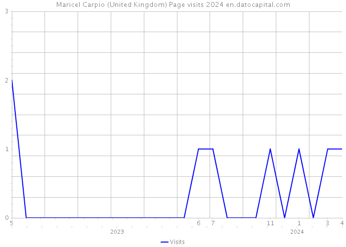 Maricel Carpio (United Kingdom) Page visits 2024 