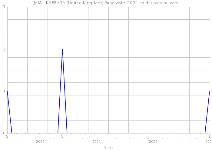 JAMIL KABBARA (United Kingdom) Page visits 2024 