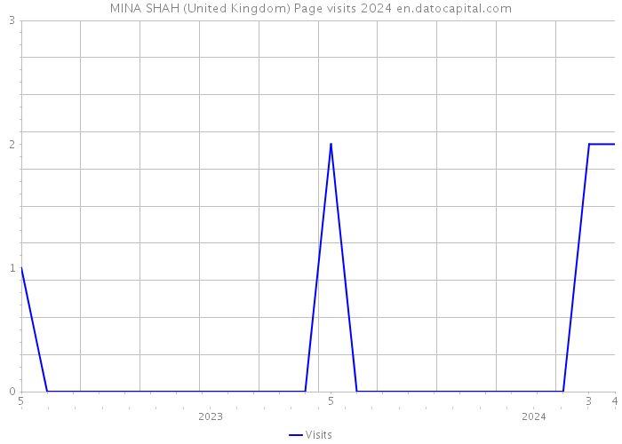 MINA SHAH (United Kingdom) Page visits 2024 