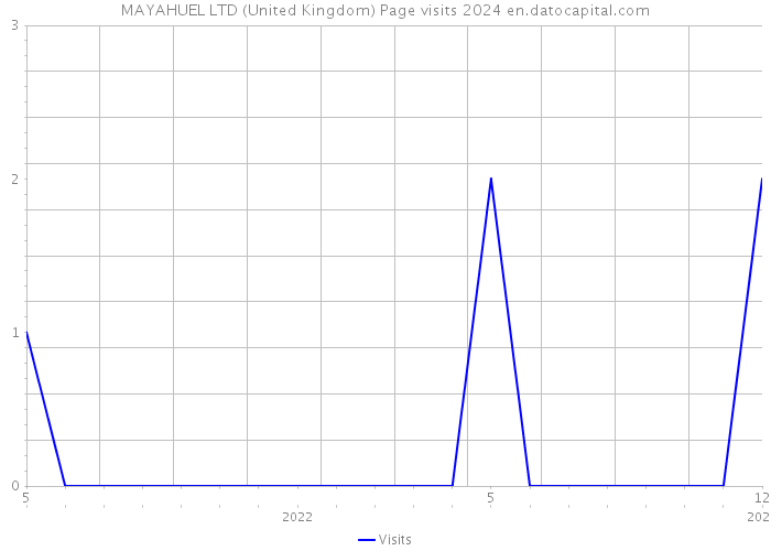 MAYAHUEL LTD (United Kingdom) Page visits 2024 
