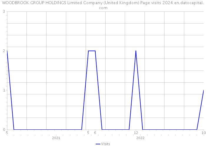 WOODBROOK GROUP HOLDINGS Limited Company (United Kingdom) Page visits 2024 