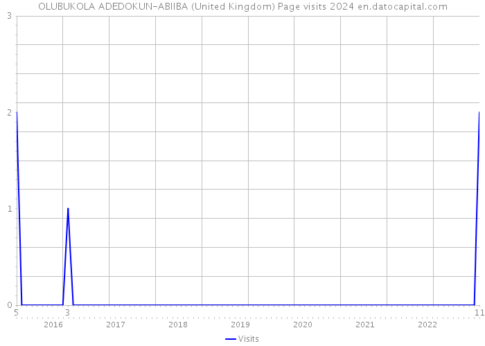 OLUBUKOLA ADEDOKUN-ABIIBA (United Kingdom) Page visits 2024 