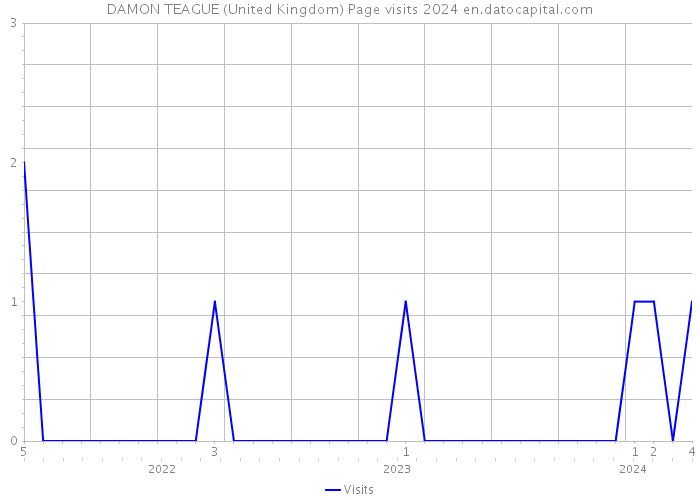 DAMON TEAGUE (United Kingdom) Page visits 2024 