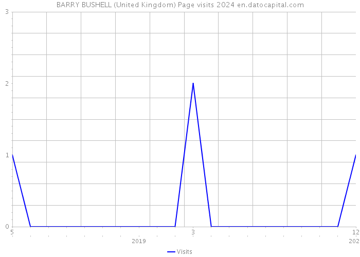 BARRY BUSHELL (United Kingdom) Page visits 2024 