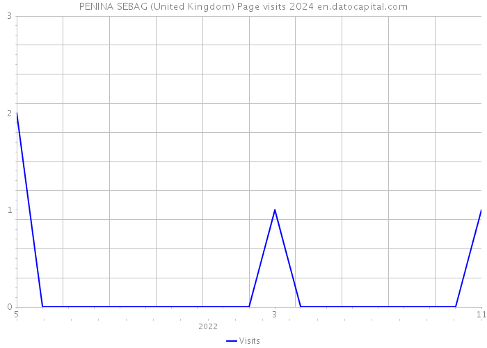 PENINA SEBAG (United Kingdom) Page visits 2024 