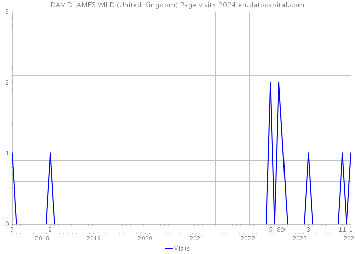 DAVID JAMES WILD (United Kingdom) Page visits 2024 