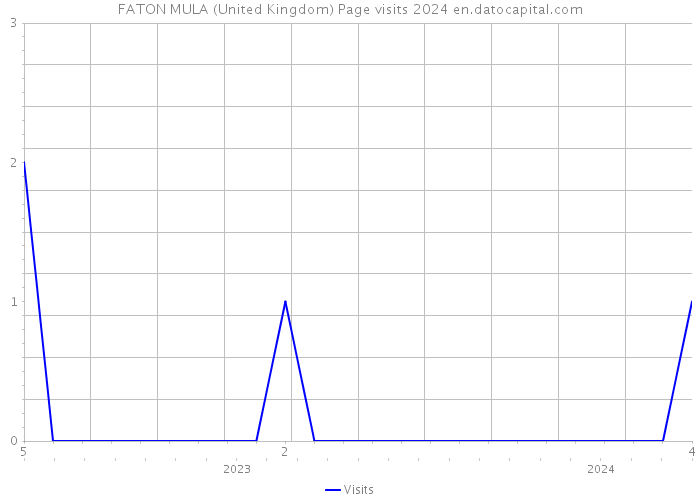 FATON MULA (United Kingdom) Page visits 2024 