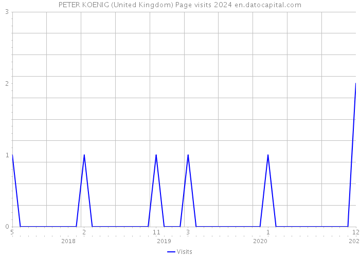 PETER KOENIG (United Kingdom) Page visits 2024 