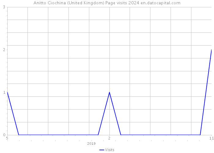 Anitto Ciochina (United Kingdom) Page visits 2024 